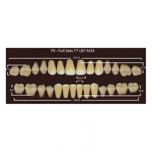 картинка Зубы акриловые FX, фасон T7/LB7 M33, полный гарнитур (28 шт), Yamahachi 