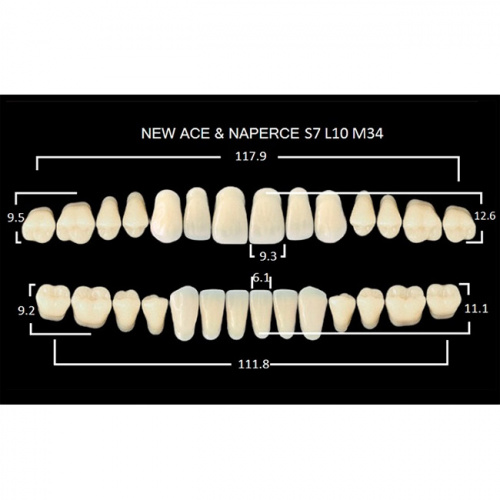 картинка Зубы акриловые Gloria New Ace / Naperce, фасон S7/L10 М34, полный гарнитур (28 шт), Yamahachi 