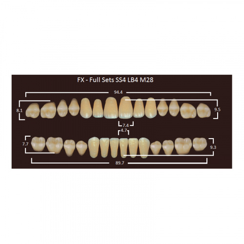 картинка Зубы акриловые FX, фасон SS4/LB4 M28, полный гарнитур (28 шт), Yamahachi 