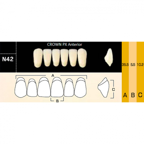 картинка Зубы композитные Crown PX Anteriors фронтальные, нижние, фасон N42 на планке (6 шт), Yamahachi 