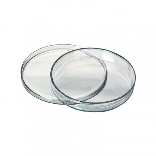 картинка Чашка Петри стеклянная (1шт) 