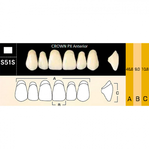 картинка Зубы композитные Crown PX Anteriors фронтальные, верхние, фасон S51S на планке (6 шт), Yamahachi 