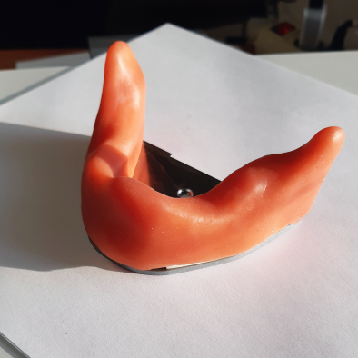 картинка Денто-модель нижней челюсти для имплантации без зубов FI-0, Medskills 