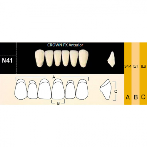 картинка Зубы композитные Crown PX Anteriors фронтальные, нижние, фасон N41 на планке (6 шт), Yamahachi 