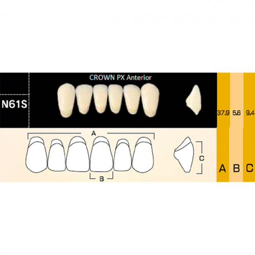 картинка Зубы композитные Crown PX Anteriors фронтальные, нижние, фасон N61S на планке (6 шт), Yamahachi 