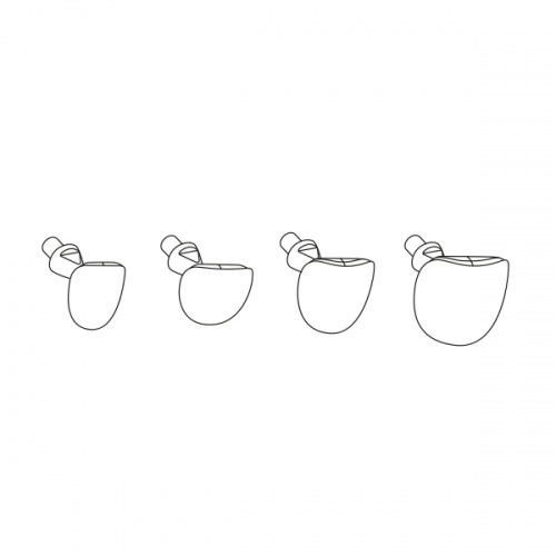 картинка Пришеечные матрицы LM-Cervical Matrices, LM-Instruments 