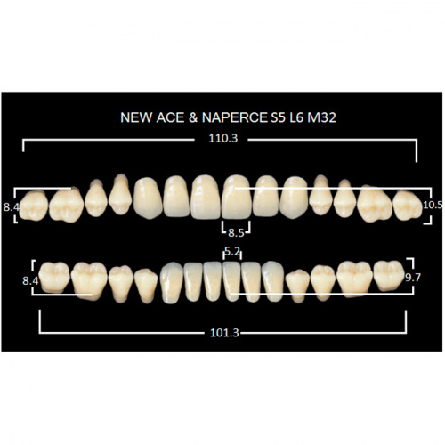 картинка Зубы акриловые Gloria New Ace / Naperce, фасон S5/L6 М32, полный гарнитур (28 шт), Yamahachi 