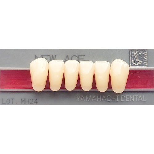 картинка Зубы акриловые New Ace Anterior фронтальные, нижние, фасон L5 (6 шт.), Yamahachi 