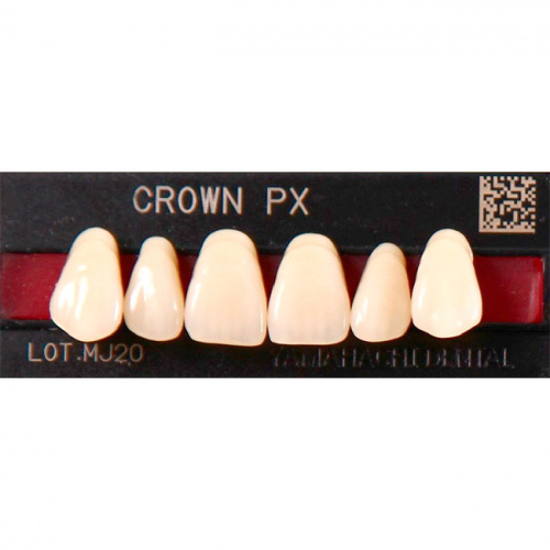 картинка Зубы композитные Crown PX Anteriors фронтальные, верхние, фасон C61 на планке (6 шт), Yamahachi 
