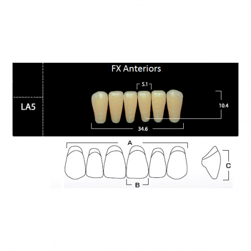 картинка Зубы акриловые FX Anteriors фронтальные, нижние, фасон LA5 на планке (6 шт), Yamahachi 