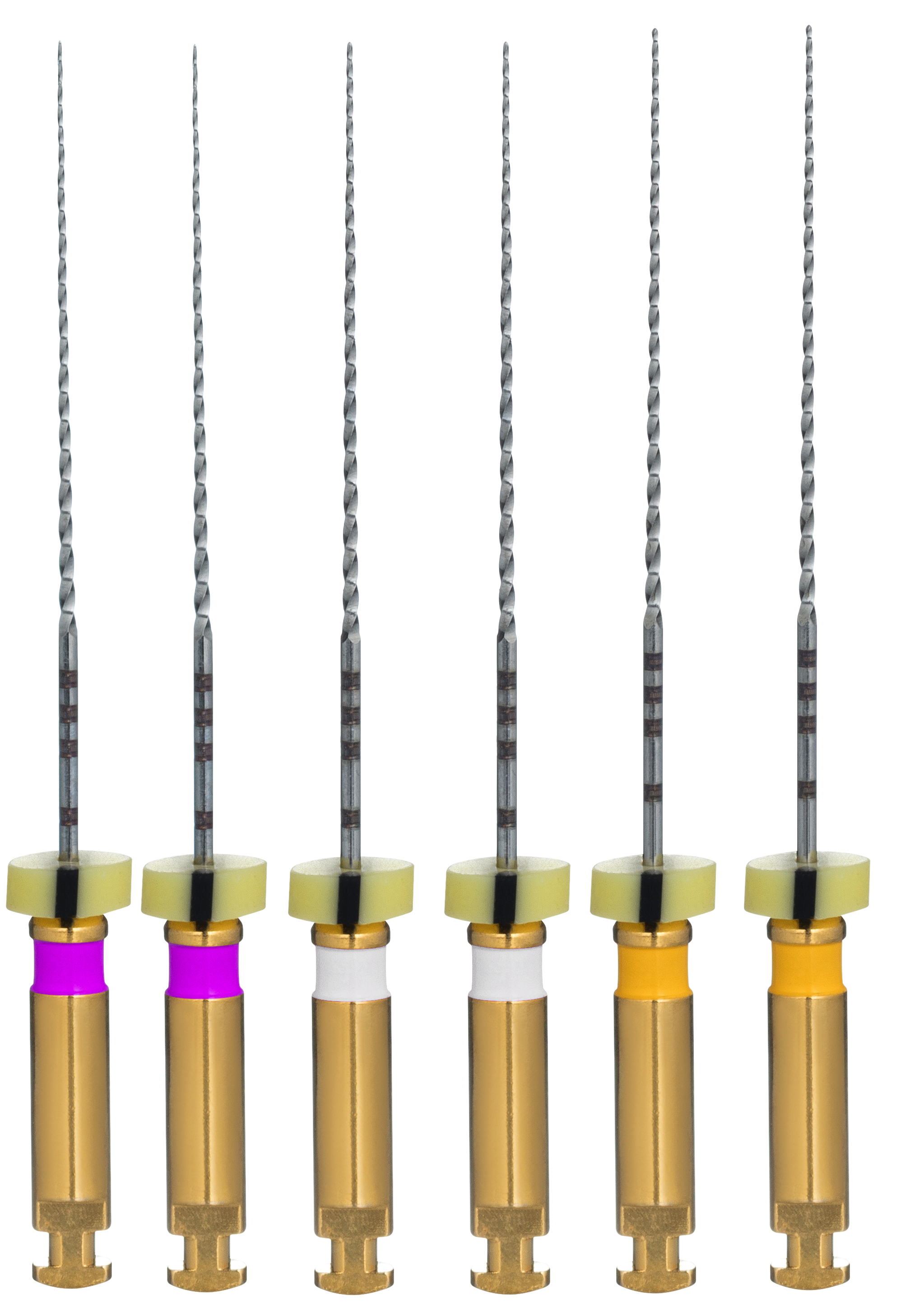 картинка УльтраПат Файлс - UltraPath Files, EuroFile 