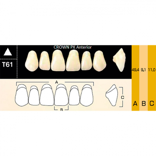 картинка Зубы композитные Crown PX Anteriors фронтальные, верхние, фасон T61 на планке (6 шт), Yamahachi 