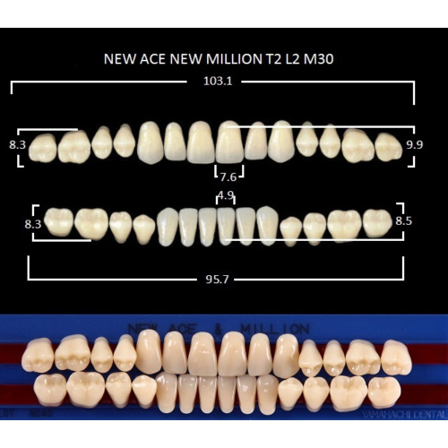 картинка Зубы акриловые New Ace / New Million, фасон T2/L2 M30, полный гарнитур (28 шт), Yamahachi 