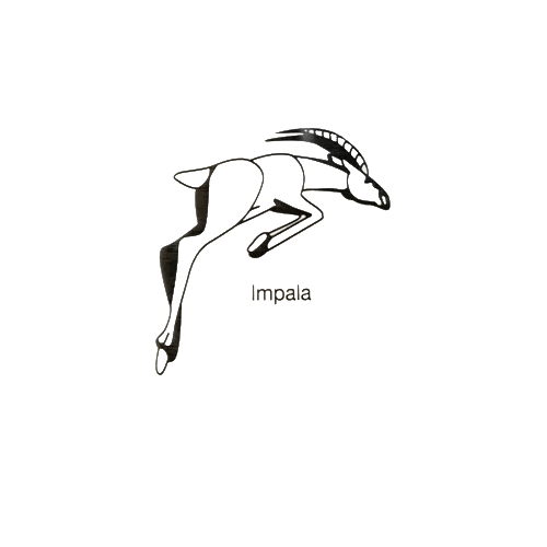 картинка 630-0050 Резиновая тяга Антилопа, очень сильная, 3/16" (4,76 мм), внутриротовая, Ormco (1шт) 