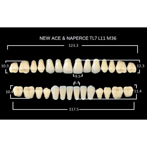 картинка Зубы акриловые Gloria New Ace / Naperce, фасон TL7/L11 М36, полный гарнитур (28 шт), Yamahachi 