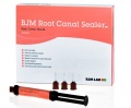 картинка Рут Канал Силер - Root Canal Sealer (5 мл, насадки), BJM 