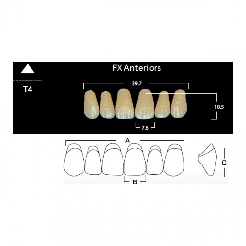 картинка Зубы акриловые FX Anteriors фронтальные, верхние, фасон T4 на планке (6 шт), Yamahachi 