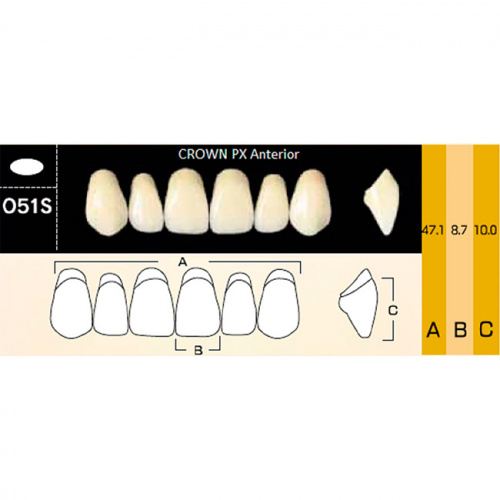 картинка Зубы композитные Crown PX Anteriors фронтальные, верхние, фасон O51S на планке (6 шт), Yamahachi 