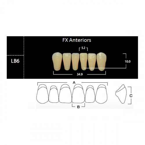картинка Зубы акриловые FX Anteriors фронтальные, нижние, фасон LB6 на планке (6 шт), Yamahachi 