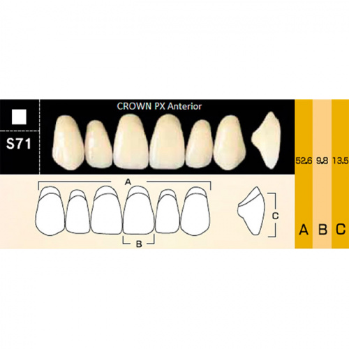 картинка Зубы композитные Crown PX Anteriors фронтальные, верхние, фасон S71 на планке (6 шт), Yamahachi 