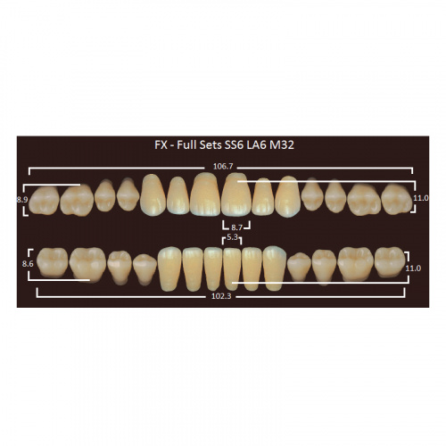 картинка Зубы акриловые FX, фасон SS6/LA6 M32, полный гарнитур (28 шт), Yamahachi 