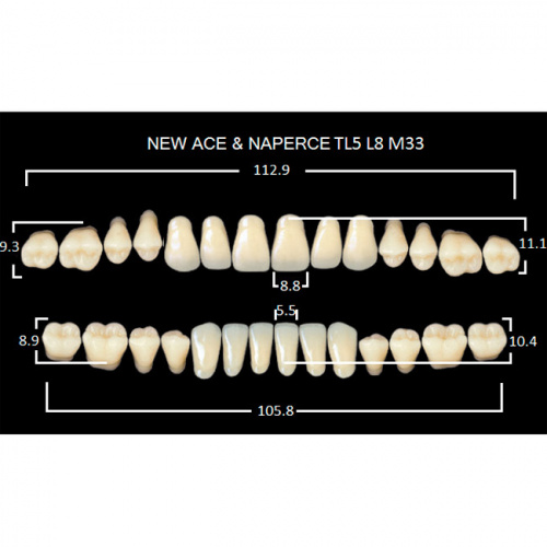 картинка Зубы акриловые Gloria New Ace / Naperce, фасон TL5/L8 М33, полный гарнитур (28 шт), Yamahachi 