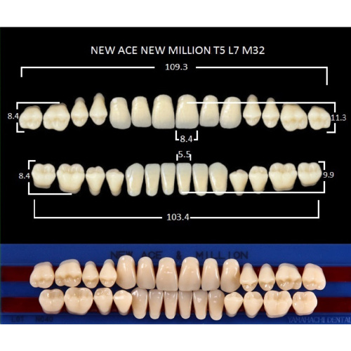 картинка Зубы акриловые New Ace / New Million, фасон T5/L7 M32, полный гарнитур (28 шт), Yamahachi 