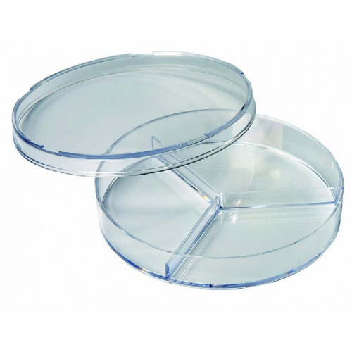 картинка Чашки Петри стеклянные секционные (1шт) 