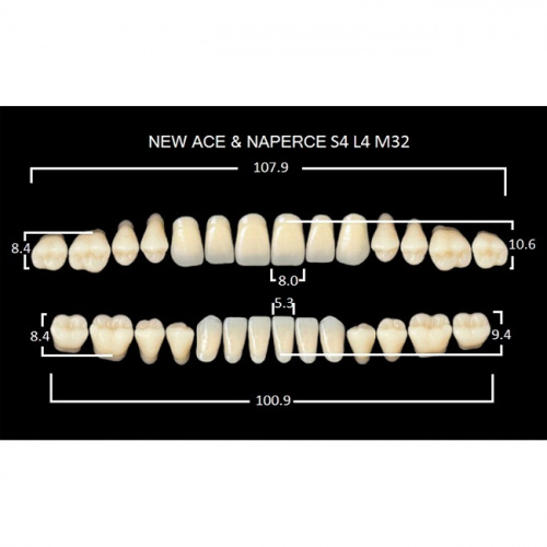 картинка Зубы акриловые Gloria New Ace / Naperce, фасон S4/L4 М32, полный гарнитур (28 шт), Yamahachi 
