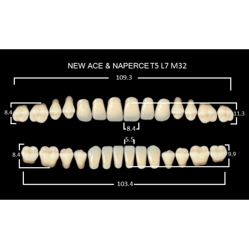 картинка Зубы акриловые Gloria New Ace / Naperce, фасон T5/L7 М32, полный гарнитур (28 шт), Yamahachi 