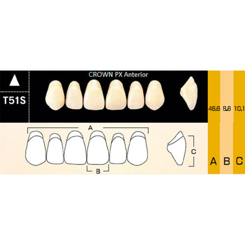 картинка Зубы композитные Crown PX Anteriors фронтальные, верхние, фасон T51S на планке (6 шт), Yamahachi 