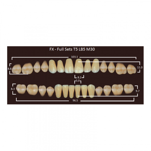 картинка Зубы акриловые FX, фасон T5/LB5 M30, полный гарнитур (28 шт), Yamahachi 