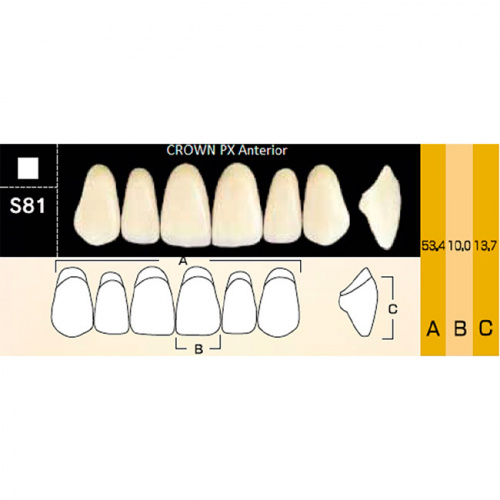 картинка Зубы композитные Crown PX Anteriors фронтальные, верхние, фасон S81 на планке (6 шт), Yamahachi 