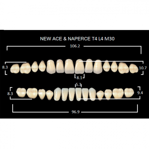 картинка Зубы акриловые Gloria New Ace / Naperce, фасон T4/L4 М30, полный гарнитур (28 шт), Yamahachi 