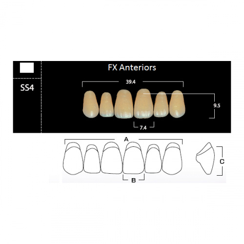картинка Зубы акриловые FX Anteriors фронтальные, верхние, фасон SS4 на планке (6 шт), Yamahachi 