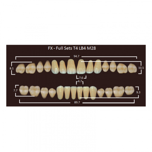 картинка Зубы акриловые FX, фасон T4/LB4 M28, полный гарнитур (28 шт), Yamahachi 