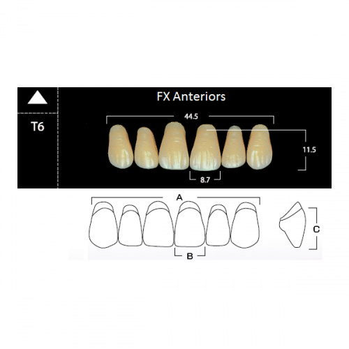 картинка Зубы акриловые FX Anteriors фронтальные, верхние, фасон T6 на планке (6 шт), Yamahachi 
