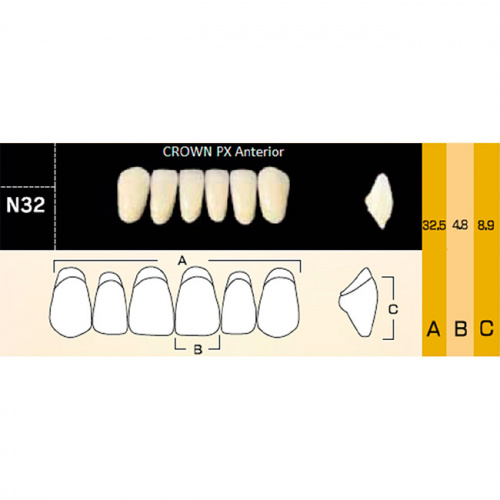 картинка Зубы композитные Crown PX Anteriors фронтальные, нижние, фасон N32 на планке (6 шт), Yamahachi 
