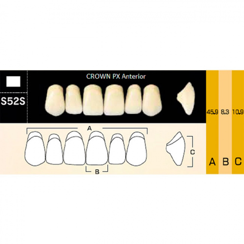 картинка Зубы композитные Crown PX Anteriors фронтальные, верхние, фасон S52S на планке (6 шт), Yamahachi 