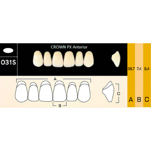 картинка Зубы композитные Crown PX Anteriors фронтальные, верхние, фасон O31S на планке (6 шт), Yamahachi 