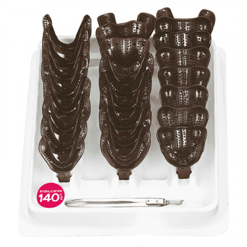 картинка Набор слепочных ложек с перфорацией без бортиков из поликарбоната, S2851-24 (24шт), Asa Dental 