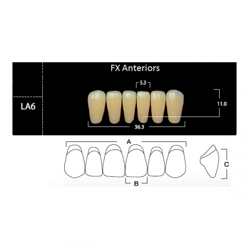 картинка Зубы акриловые FX Anteriors фронтальные, нижние, фасон LA6 на планке (6 шт), Yamahachi 