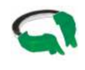 картинка Кольцо фиксирующее 1.167(4) / 2.167Р для премоляров, Тор ВМ 