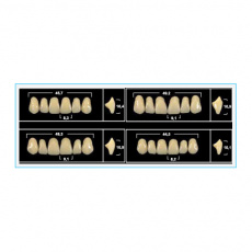 картинка Зубы Йети - Yeti A3, Yeti 