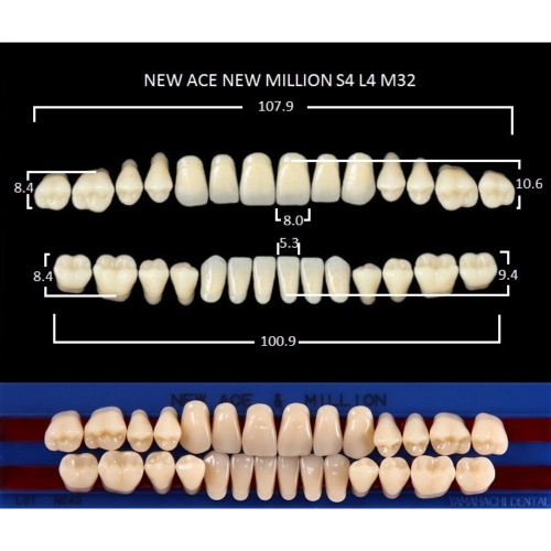 картинка Зубы акриловые New Ace / New Million, фасон S4/L4 M32, полный гарнитур (28 шт), Yamahachi 