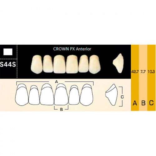 картинка Зубы композитные Crown PX Anteriors фронтальные, верхние, фасон S44S на планке (6 шт), Yamahachi 