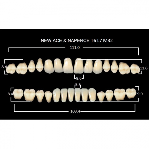 картинка Зубы акриловые Gloria New Ace / Naperce, фасон T6/L7 М32, полный гарнитур (28 шт), Yamahachi 