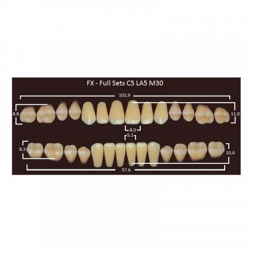 картинка Зубы акриловые FX, фасон C5/LA5 M30, полный гарнитур (28 шт), Yamahachi 