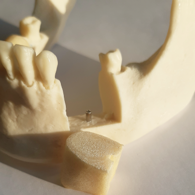 картинка Комплект сменных модулей на денто-модель FI-8, Medskills 