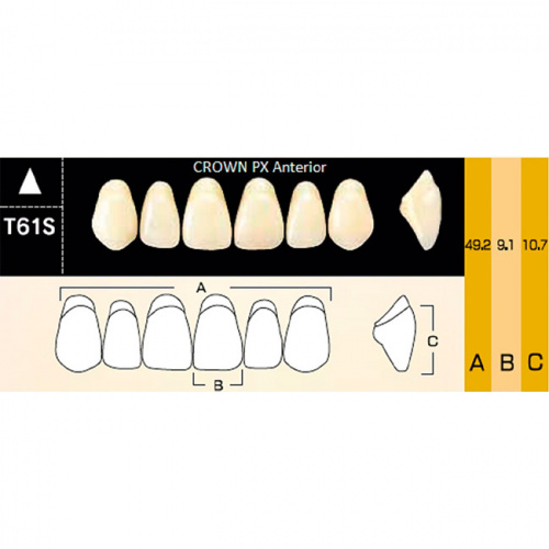 картинка Зубы композитные Crown PX Anteriors фронтальные, верхние, фасон T61S на планке (6 шт), Yamahachi 
